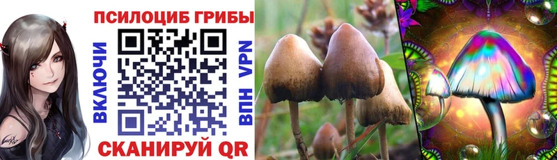 что такое   ссылка на мегу зеркало  Галлюциногенные грибы GOLDEN TEACHER  Гуково 
